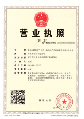 深圳市鹏信资产评估土地房地产估价有限公司湖北分公司 专业服务铸造信任桥樑