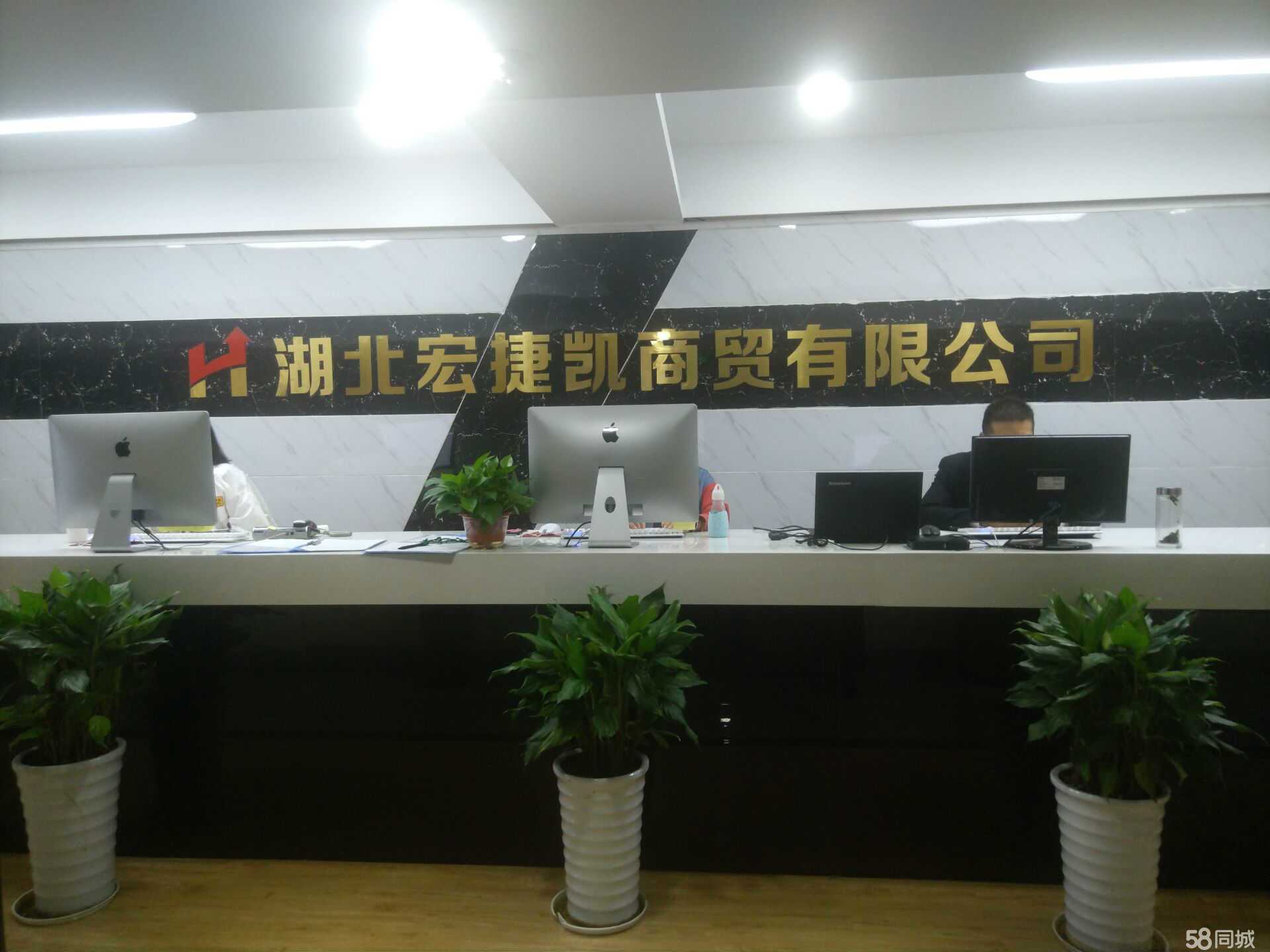 湖北宏捷凯商贸与湖北省公司 协同发展与服务创新